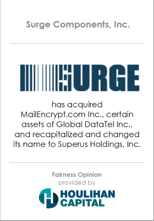 Fairness_Opinion_Surge_Components_Inc_Technology
