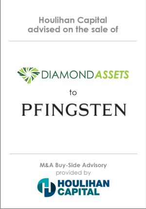 Financial_Advisory_Diamond_Assets_Business_Services