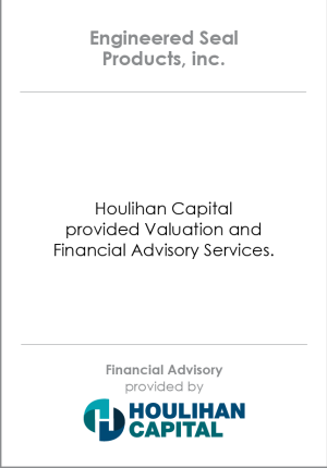 Financial_Advisory_Engineered_Seal_Products_Industrials