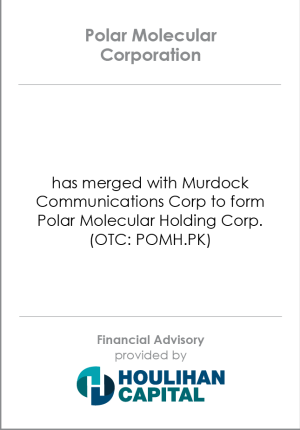 Financial_Advisory_Polar_Molecular_Industrials